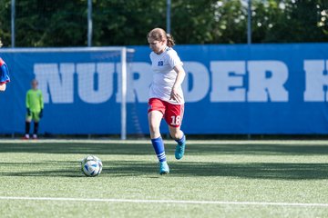 Bild 168 - wCJ Hamburger SV - VfL Pinneberg : Ergebnis: 9:0
